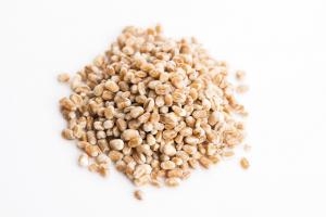Barley-the-rise-of-the-power-carb-by-healthista.com_.jpg