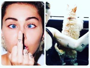 Miley Cyrus tattoos, am I too old for a tattoo, by healthista