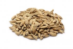 Spelt, the rise of the power carb by healthista.com
