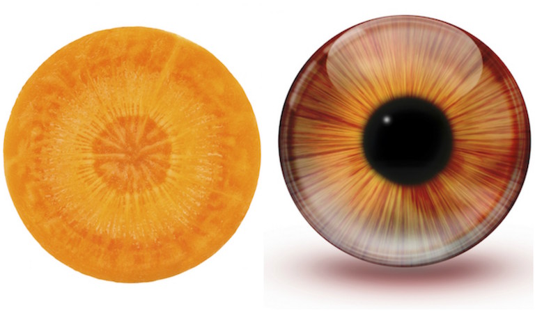 Carrot and eye, foods that look like the body part they're good for, by healthista