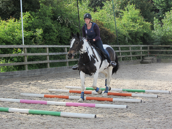 jen equestrian show jumping