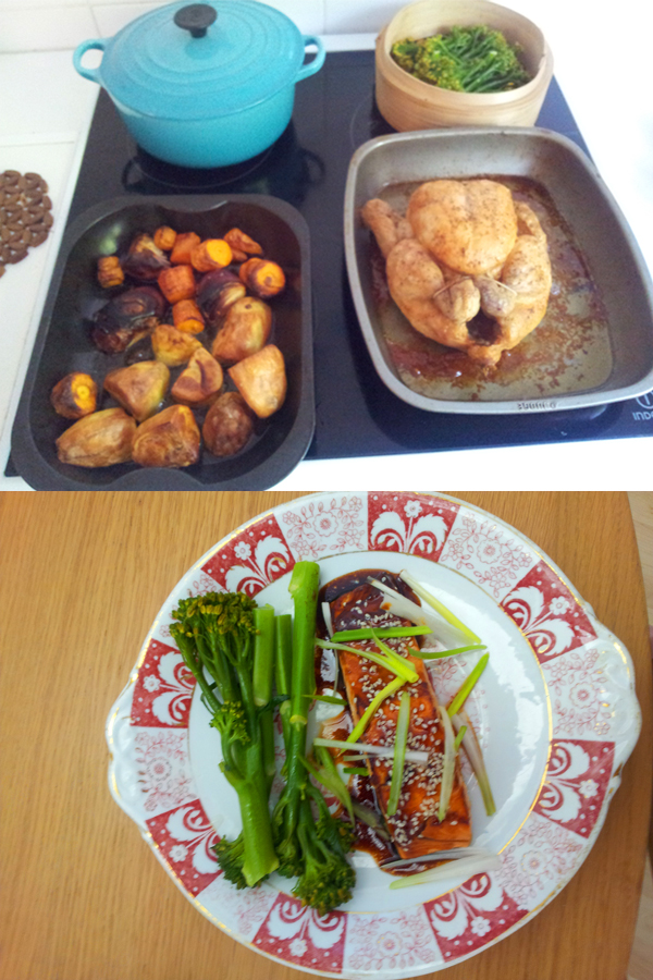 salmon and chicken