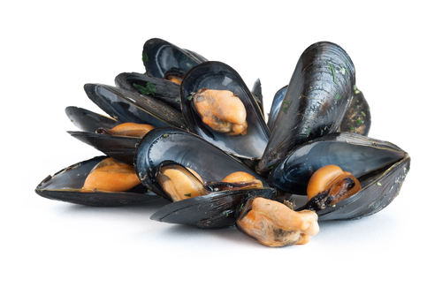 Mussels