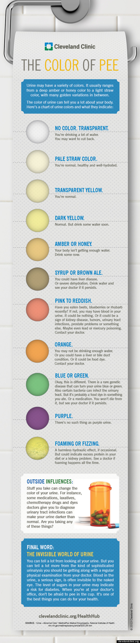 Urine Infographic