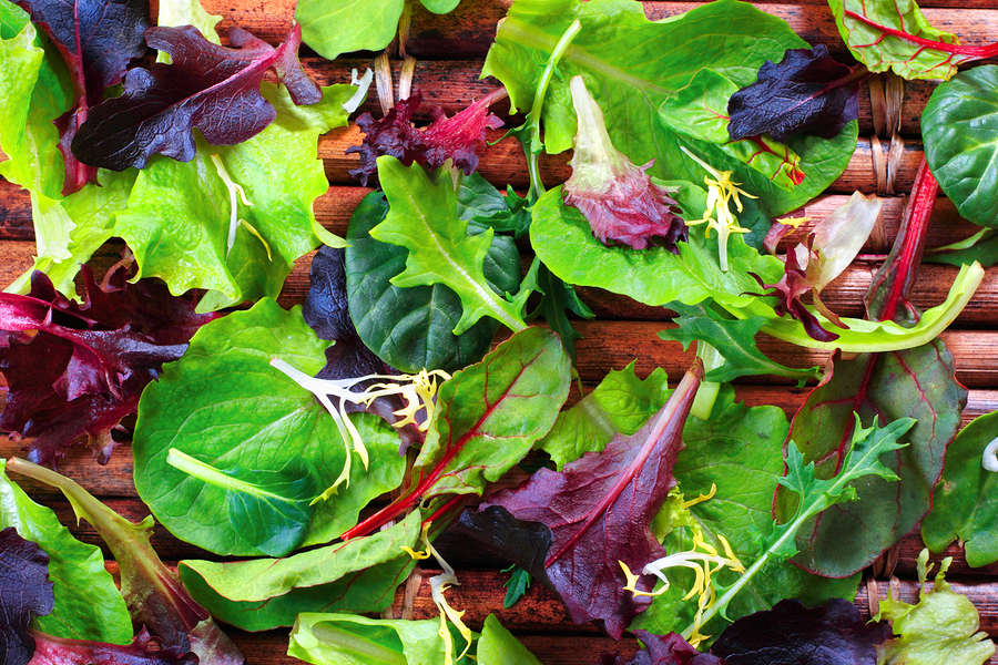 A bitter green salad before dinner can aid digestion and help you eat less 