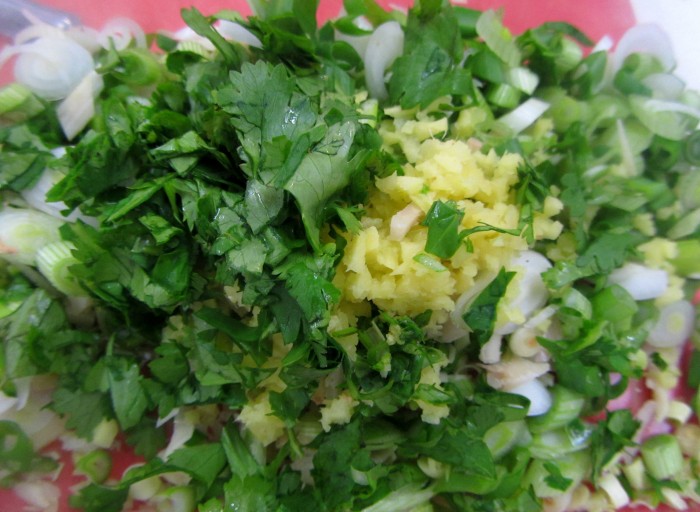 mix of coriander, chilli, ginger, lemongrass, galangal and spring onions