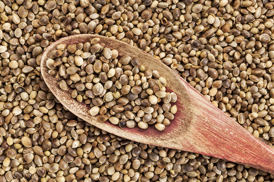 background of organic dried hemp seeds with a rustic wooden spoo