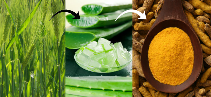 Barley grass, aloe vera and tumeric, superfood combinations, by Healthista.com 