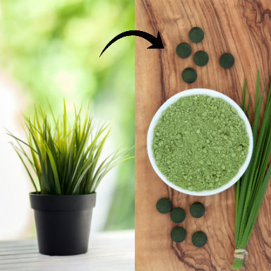 Wheatgrass and Spirulina, superfood combinations, by Healthista.com