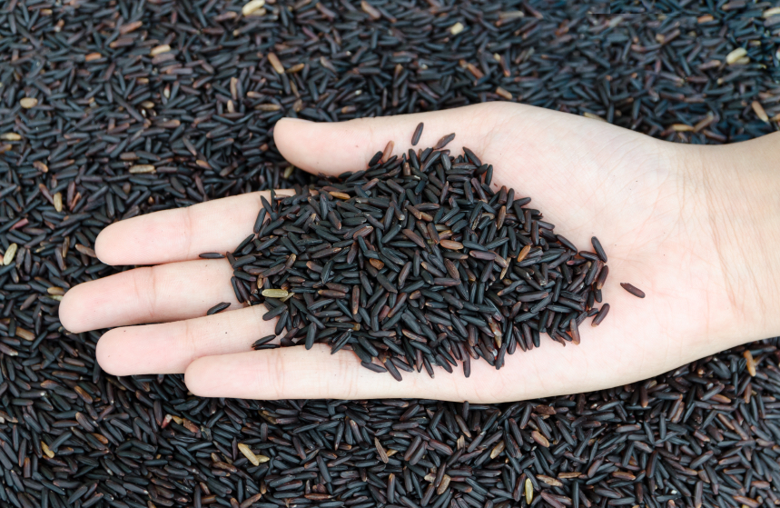 Thai black jasmine rice (Rice berry)