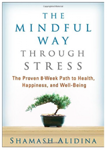 The Mindful Way through Stress by Shamash Alidina, 7 mindful ways of easing sudden stress, by Healthista.com