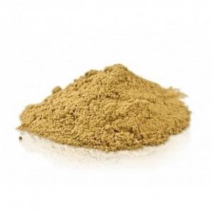 reishi powder superdrinks by Healthista.com in text image