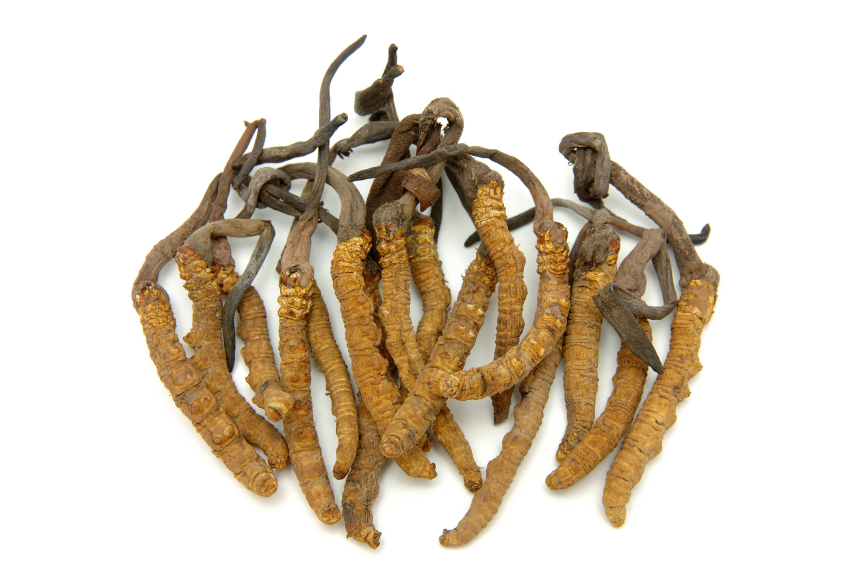 Cordyceps, medicinal mushrooms, by healthista.com