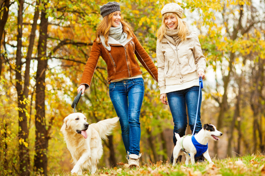 Can our pets reduce stress - 12 ways your pet is boosting your wellbeing woman walking her dog