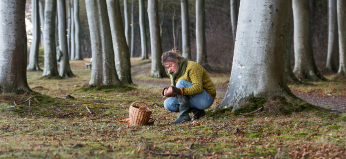 Foraging, by healthista.com, slider