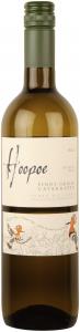 Hoopoe Pinot Grigio Catarratto, reasons to try organic wine, by healthista.com