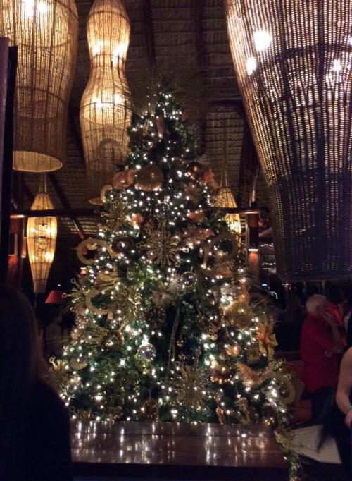 christmas tree club med punta cana review resort by healthista