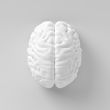 White brain on white background, 7 ways to boost your brain performance, by healthista.com