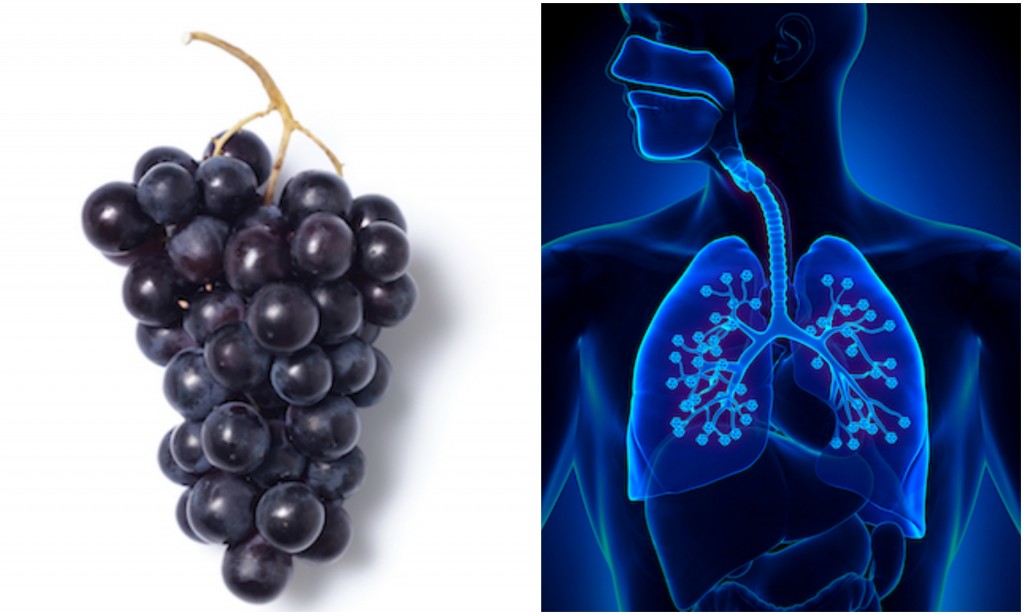 12 healthy foods that look like the body part they're good for Healthista