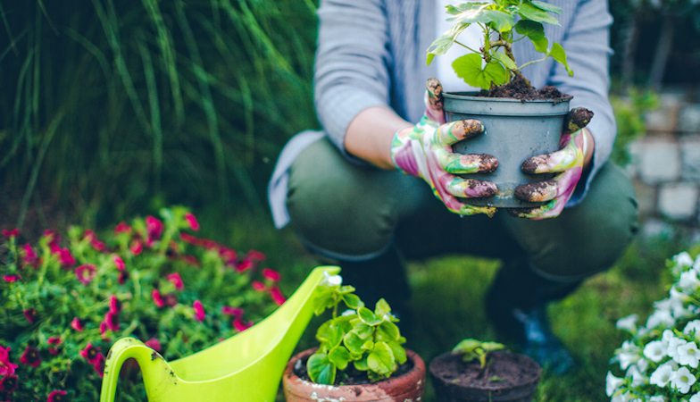 gardening.-how-to-grow.-slider