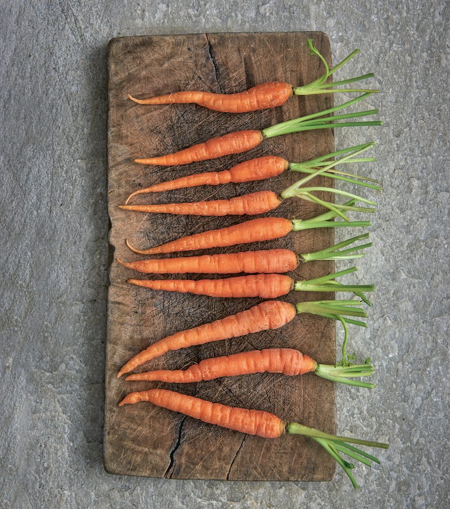 how to make a soup. soupologie. carrots