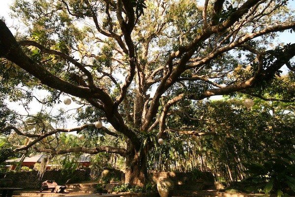 Spa of the week The Farm at San Benito, The Philippines, by healthista.com 8 (1)