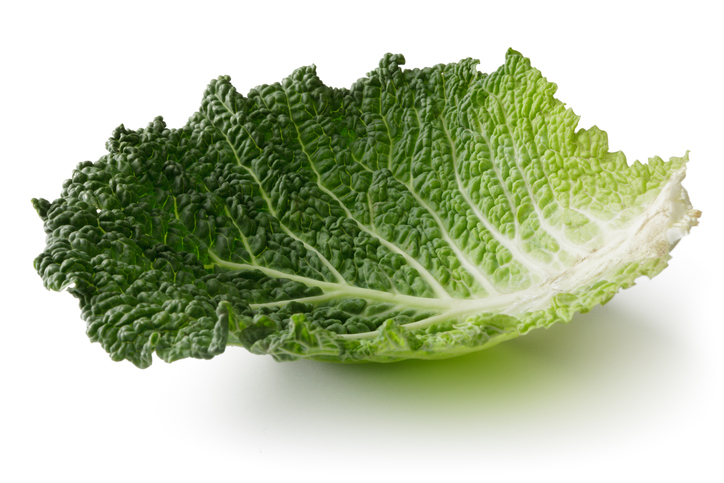 savoy cabbage leaves, breastfeeding tips these mothers wish someone told them by healthista