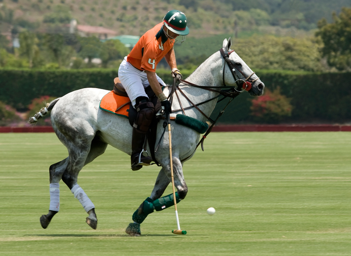 play-polo-10-Best-Christmas-gift-experience-days-for-the-person-who-has-everything-by-healthista.com_