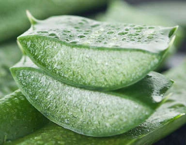 aloevera-plant,-weight-loss-tips---fushi-aloe-vera-juice-by-healthista