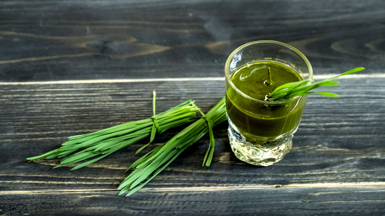 wheatgrass-shot,-30-weight-loss-tips-in-30-days---#30-wheatgrass-powder-by-healthista.com