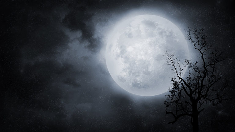 Full-moon-with-tree-in-front-How-does-a-full-moon-affect-me-and-8-ways-to-live-by-the-phases-of-the-moon-healthista