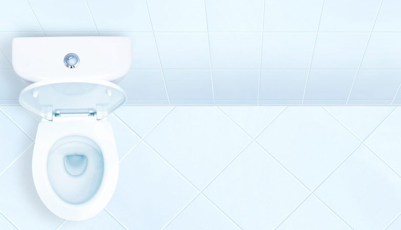 toilet-symptoms-of-IBS-by-healthista-optibac