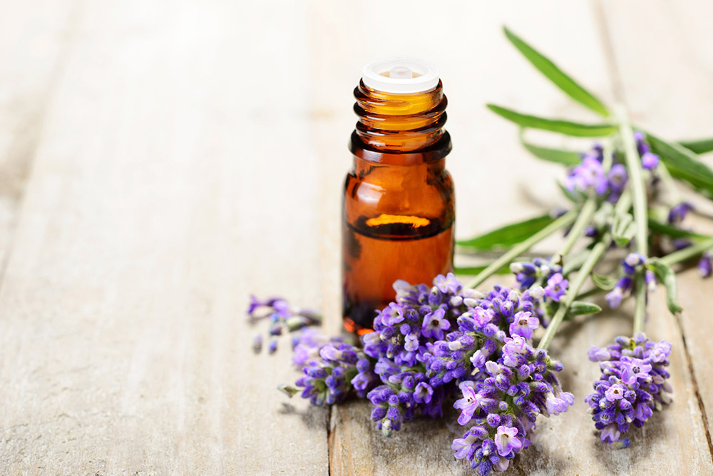 Lavender essential oil treatment headaches migraines