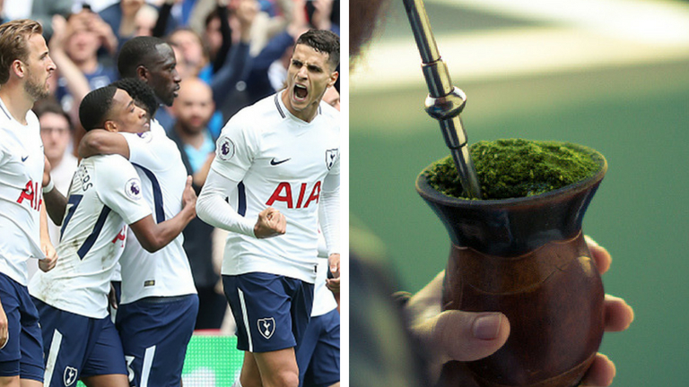 Fancy a brew? Why England's footballers are hooked on mate tea, Tea