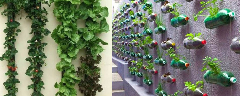 plastic bottle vertical garden combo waste upcycle world ocean day Healthista