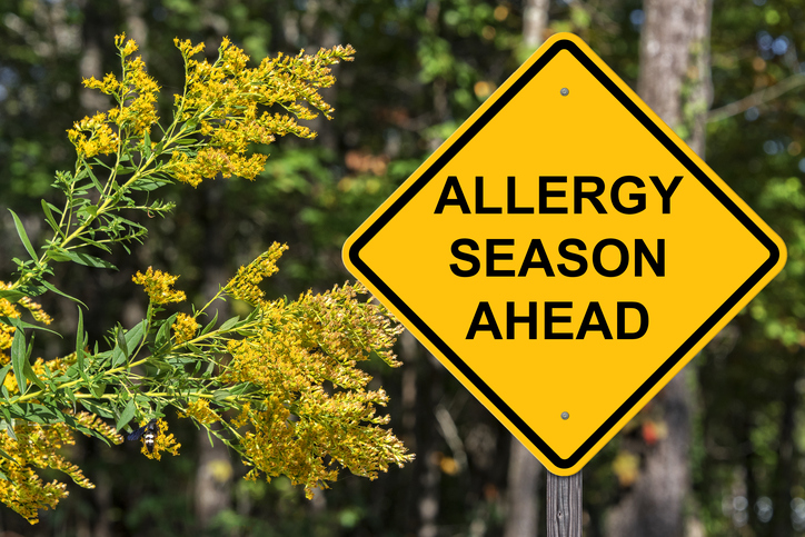 Allergy season, hay fever, by healthista 