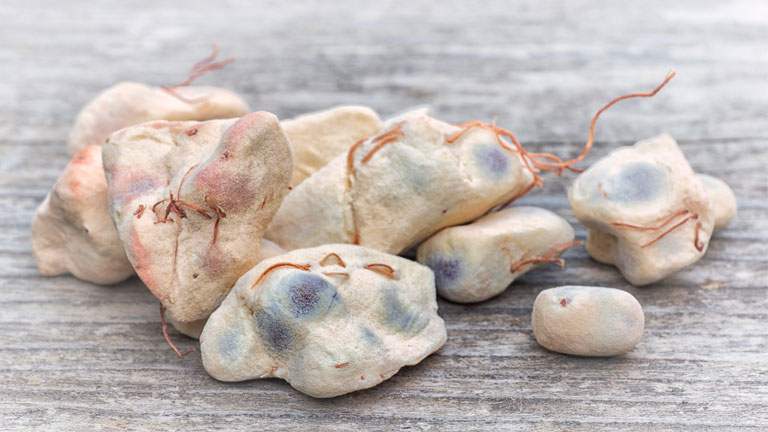 baobab-fruit,-trendy-nutrients-a-z,-baobab-by-healthista.com