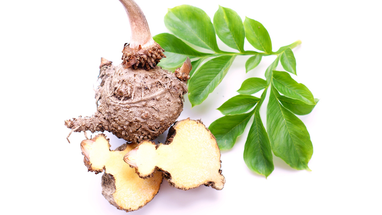 glucomannan-main-image