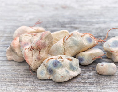 trendy-nutrients-a-z,-baobab-by-healthista.com