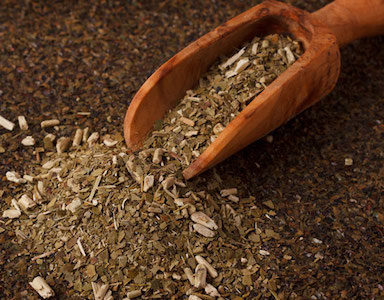 yerba mate featured image