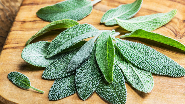 sage,-nutrients-to-boost-immunity-by-healthista.com