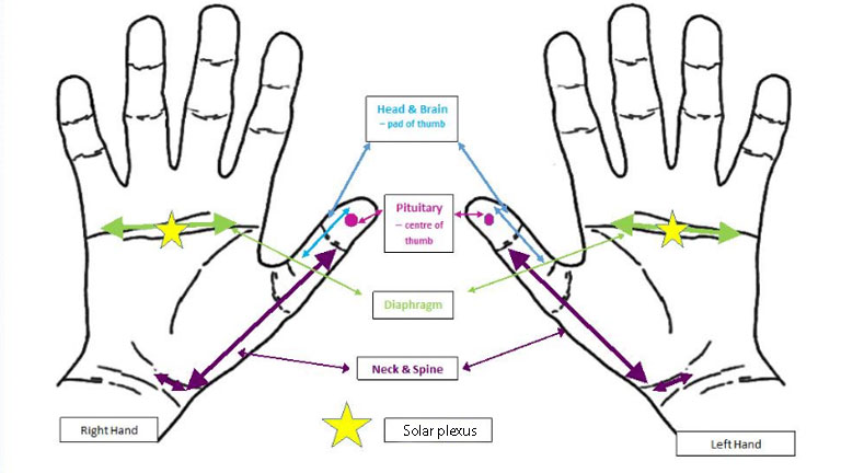 hand-chart,-hand-reflexology-for-back,-neck-and-shoulder-problems-by-healthista.com