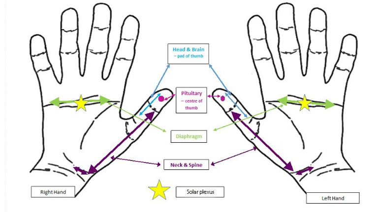 reflexology massage, zone, michele stevens, reflexology, healthista