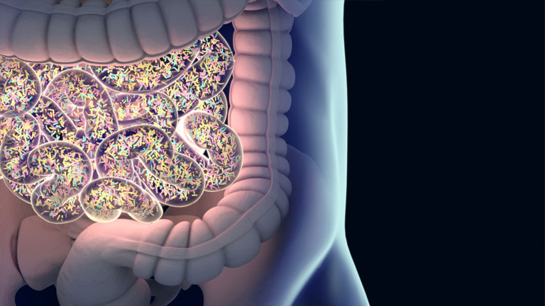 intestines,-how-gut-health-can-help-immunity-by-healthista.com