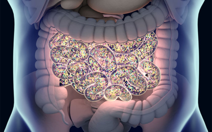 microbiome,-how-gut-health-can-help-immunity-by-healthista.com