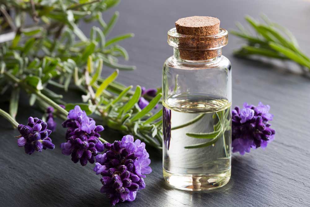 How to relieve stress without drugs - the expert's guide-3-natural-ways-to-beat-stress-lavender