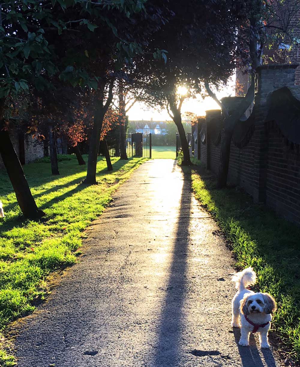 Mindfulness and running - the therapy that could change your life