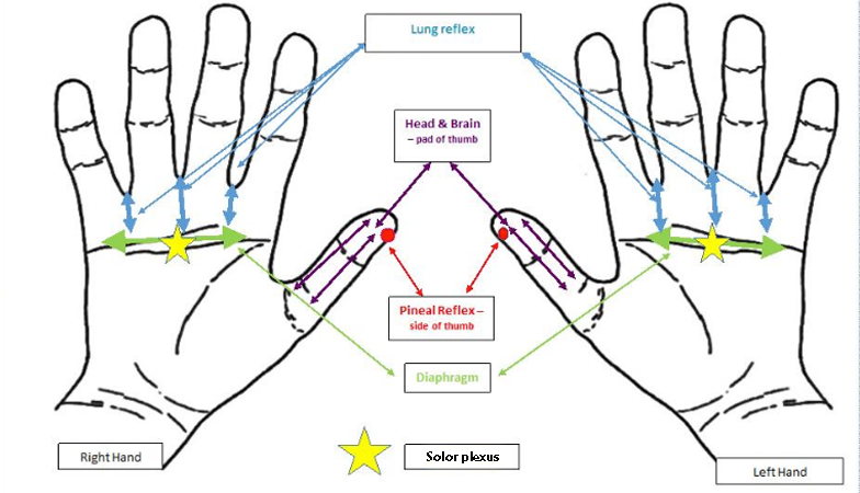 hand-chart,-hand-reflexology-for-sleep-problems-by-healthista.com