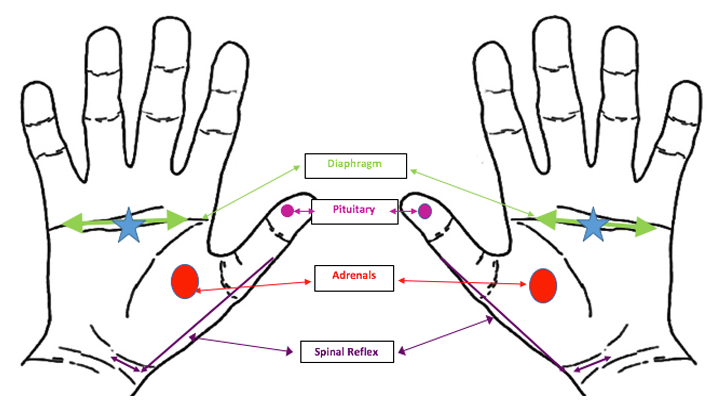 hand-chart, how to relieve stress and anxiety with hand reflexology