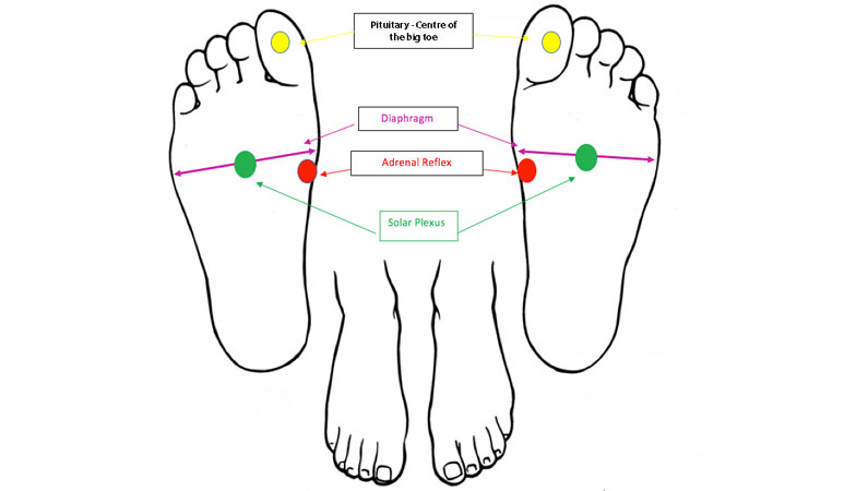 foot-chart,-Foot-reflexology-for-stress-and-anxiety-by-healthista.com